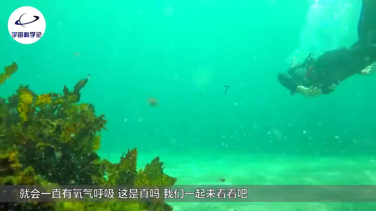 燃烧吧大脑装瓶子游戏